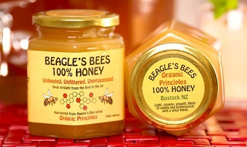  Honey In Jar Crosswinds Colony I Saint Petersburg FL
